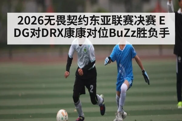 2026无畏契约东亚联赛决赛 EDG对DRX康康对位BuZz胜负手（KAIYUN）